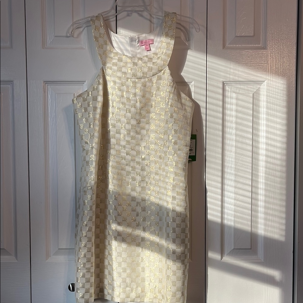 Chic Gold and Cream Sleeveless Dress